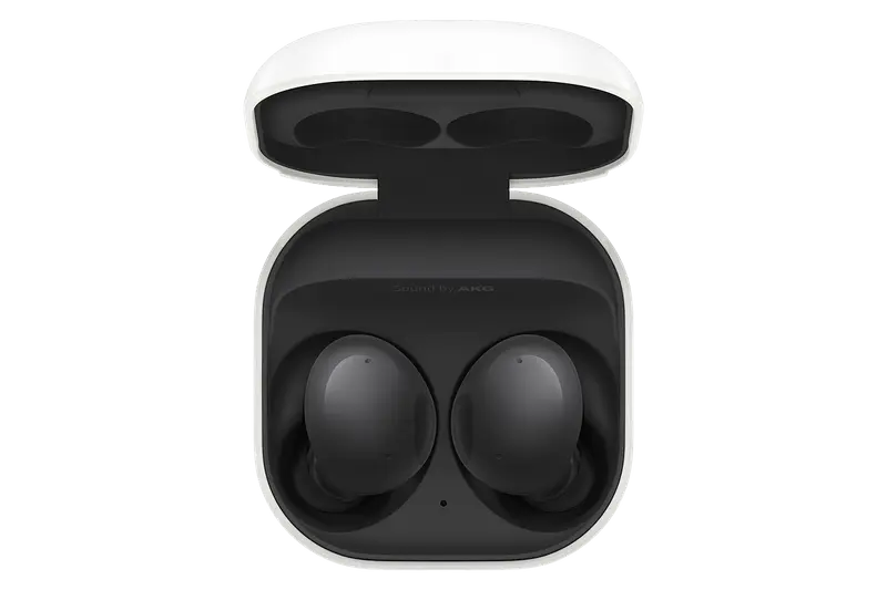 Galaxy Buds2